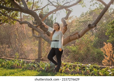 Young Woman Leaning Against A Plum Tree. Full Length Portrait Of A Mexican Woman Leaning Against A Plum Tree At Sunset.