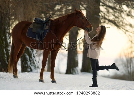 Young woman with long hear in sweater near brown horse on snow at sunset. Background of winter trees and sunset sky