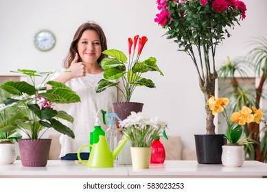 7,323 Looking after plants Images, Stock Photos & Vectors | Shutterstock