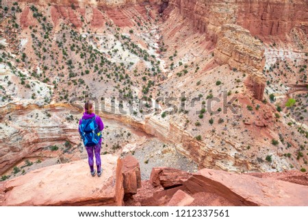 Young woman is looking at the Goosenecks in the Capitol Reef National park. Capitol Reef National Park's Panorama Point overlooks the a canyon of goose neck turn in Utah's Sulphur Creek.
