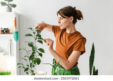 Young woman lovingly tends to indoor plants in a bright apartment, delicately pruning a lemon tree surrounded by lush greenery. Gardening concept - Powered by Shutterstock