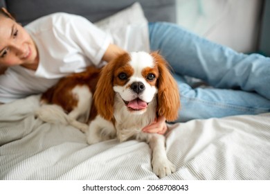 Young woman lying on the bed at home with Cavalier King Charles Spaniel dog and smiling.