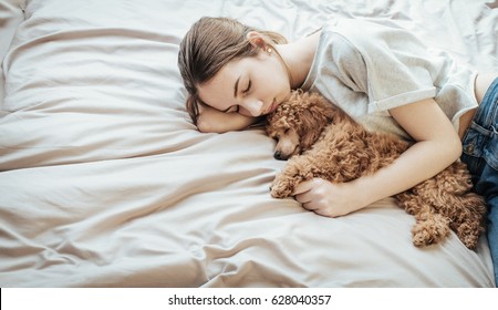 Young Woman Is Lying And Sleeping With Poodle Dog In Bed.