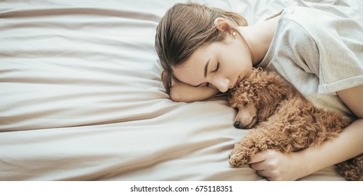 Young Woman Is Lying And Sleeping With Poodle Dog In Bed.