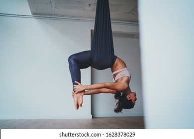 Young woman making antigravity yoga exercises in hammock at white studio, professional yoga teacher practicing aerial yoga, Physical and mental healthcare concept, blank space for logo or text message