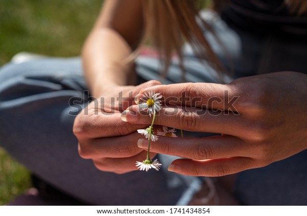 Young woman making a daisy chain sitting on grass,
close up of hands.