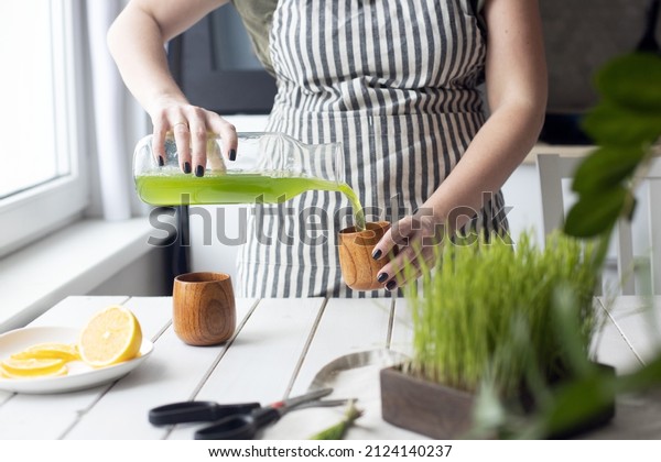 Young woman making wheatgrass juice fresh greem\
juicy wheat sprouts. Antioxidant energetic healthy morning drink.\
Taking care about health. Home hydroponics. Square format. Women\
health and wellbeing
