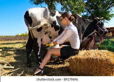 Young Woman Milking Cow On Farm