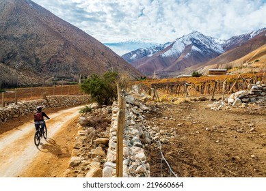 Young Woman Mountain Biking In The Elqui Valley Near Vicuna, Chile With The Andes Mountains In The Background