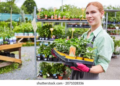 Young Woman As A Nursery Trainee Carries A Flower Delivery In The Garden Center