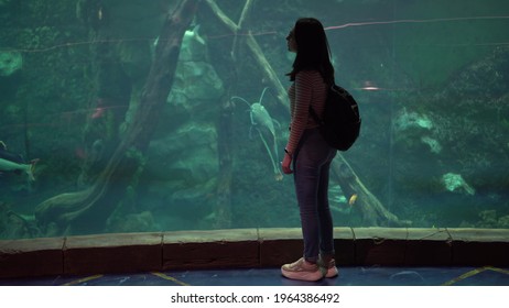 A Young Woman In The Oceanarium Looks At The Marine Life. The Girl Looks At The Swimming Fish.