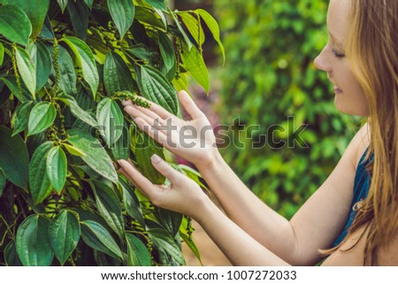 Young woman on a black pepper farm in Vietnam, Phu Quoc.