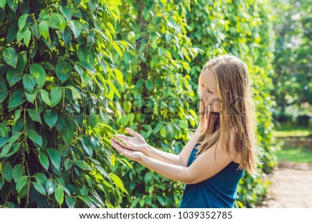 Young woman on a black pepper farm in Vietnam, Phu Quoc
