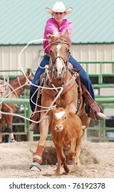 Young Woman On A Horse Roping A Calf In A Rodeo Competition. Motion Blur With Calf And Rope.