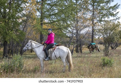 Young Woman On A Horse Traveling Though Taiga In Northern Mongolia