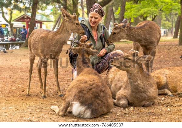 日本の奈良公園で4頭の鹿をつむる若い女性 野生のシカは天然記念物と考えられる 日本の観光コンセプト の写真素材 今すぐ編集