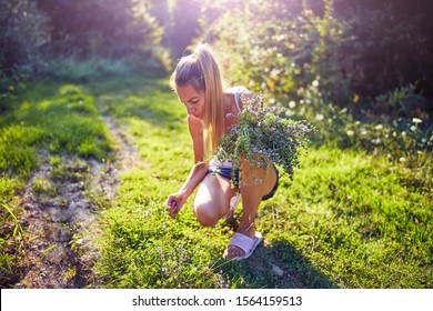 Young Woman Picking Flowers / Herbs In Nature.