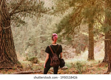 Young Woman With Pink Hair From Behind Contemplating The Pine Forest. Person Enjoying The Mountain. Hiker Resting.