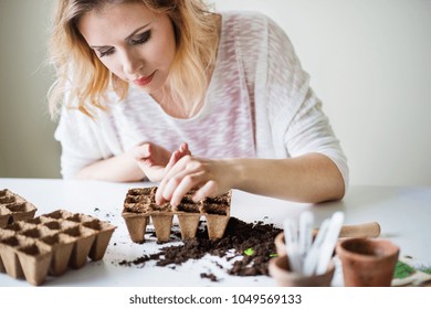 Young Woman Planting Seeds At Home.