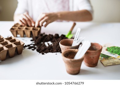 Young Woman Planting Seeds At Home.