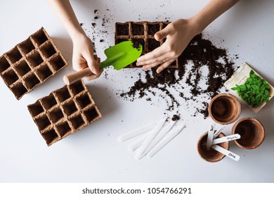 Young Woman Planting Seeds At Home.