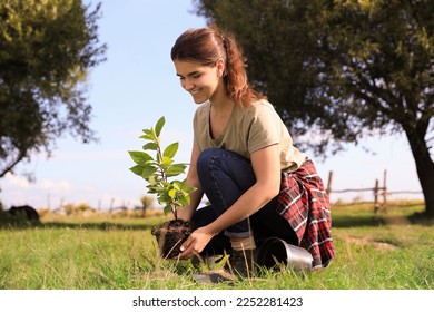 Young woman planting tree in garden on sunny day - Powered by Shutterstock