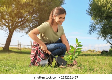 Young woman planting tree in garden on sunny day - Powered by Shutterstock