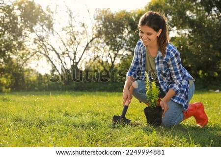 Young woman planting tree in garden on sunny day, space for text