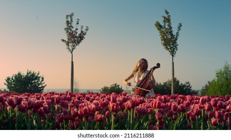 Young woman playing cello with inspiration in blooming tulip field. Dreaming girl with stringed instrument and bow sitting in floral garden. Artist female with cello in sunset light.