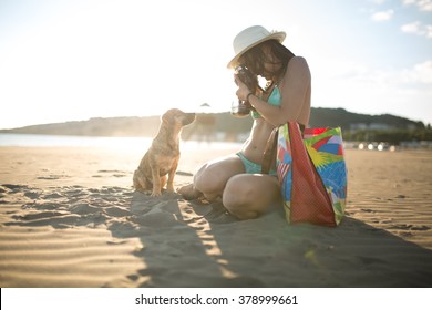 Young woman playing with dog pet on beach during sunrise or sunset.Girl and dog having fun on seaside.Cute neglected stay dog adopted by caring woman.Woman making photo of puppy posing