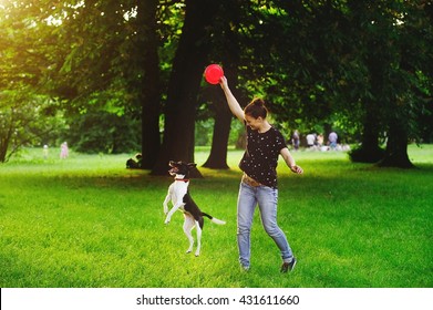 Young woman playing with her dog in a park. She is holding a red disc. Dog tries to catch it. The woman smiles.A warm summer day. Dense green grass. Vacationers people in the background.