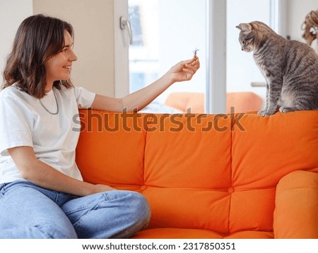 Young woman is playing with her gray cat on orange sofa at home. friendship love for pets concept, cat with complex character, unkind and wild
