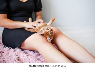 Young Woman Playing With Little Ginger Cat At Home