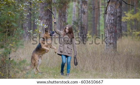 Young woman playing with a shepherd dog in autumn forest - runs for the thrown stick