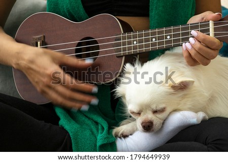 Young woman playing ukulele. White chihuahua sleeping near. Digital detox, simple pleasures and mental health concept.