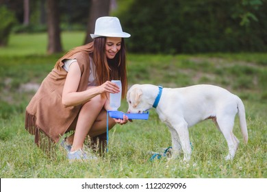 Young woman playing with Yellow Labrador Retriever in public park. Beautiful young girl giving water to dog from his bottle.