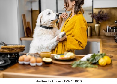 Young woman plays with her huge white dog while having a breakfast during a morning time on the kitchen at home - Powered by Shutterstock