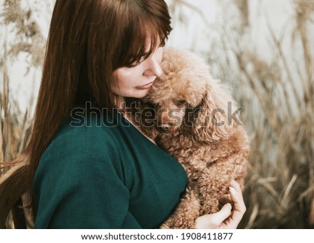 Similar – Foto Bild Trocknen des Hundes mit einem Handtuch