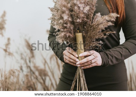 Similar – Foto Bild Trocknen des Hundes mit einem Handtuch