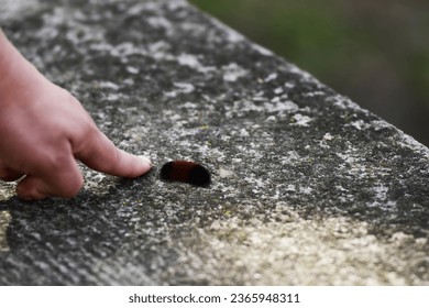 A young woman points her finger at a Banded Woolly bear caterpillar crawling across a stone ledge. - Powered by Shutterstock