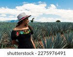 young woman portrait on the beautiful view of tequila Jalisco, Mexico.