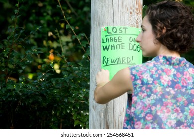 Young Woman Posting Lost Dog Sign On Telephone Pole