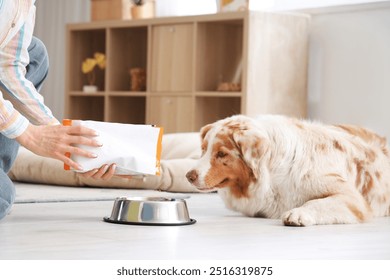 Young woman pouring dry pet food into bowl for Australian Shepherd dog at home - Powered by Shutterstock