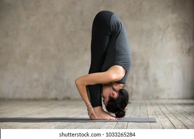 Young woman practicing yoga, doing head to knees, uttanasana exercise, Standing forward bend pose, working out, wearing sportswear, black pants and top, indoor full length, gray wall in yoga studio