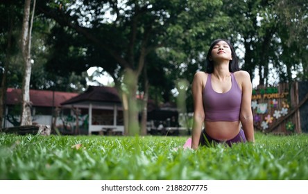 Young Woman Practicing Yoga, Doing Cobra Exercise, Bhujangasana Pose, Working Out, Wearing Sportswear, Black Pants And Top, Indoor Full Length, Gray Wall In Yoga Studio