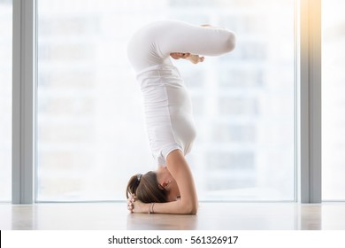 Young woman practicing yoga, standing in salamba sirsasana exercise, headstand with padmasana legs pose, working out, wearing sportswear, white t-shirt, pants, indoor full length, near floor window   - Powered by Shutterstock