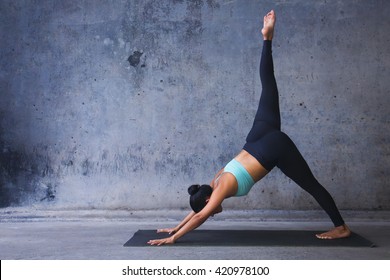 226 Three legged dog pose Images, Stock Photos & Vectors | Shutterstock