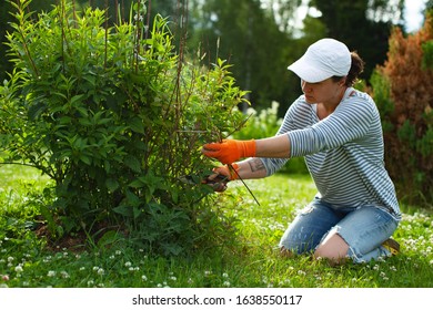 Young Woman Pruning Bushes, Gardening Concept