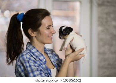 House Training Puppy Images Stock Photos Vectors Shutterstock