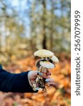 Young woman with purple fingernails in the woods holding a bunch of mushrooms.